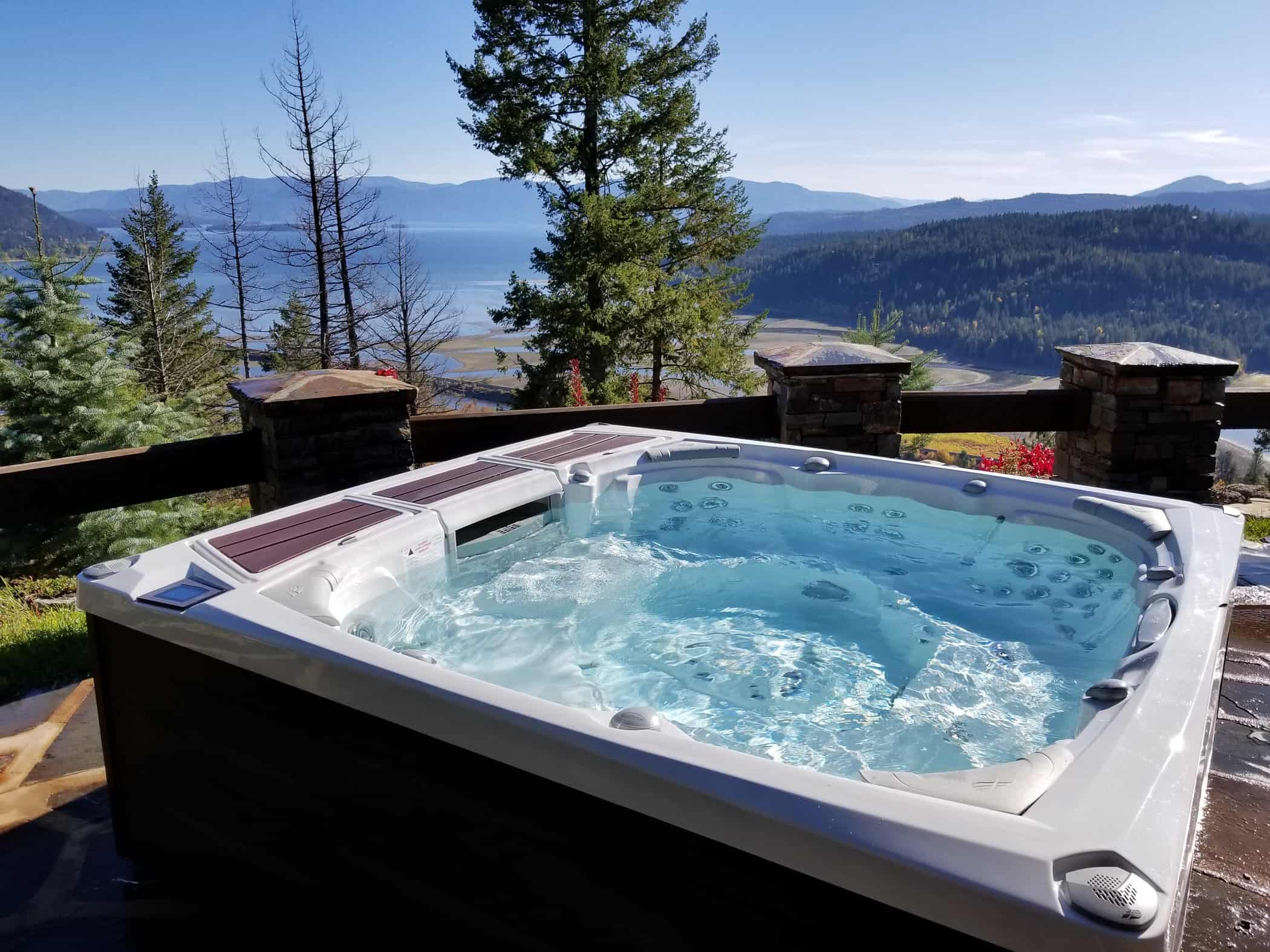 sundance® spas 980™ series