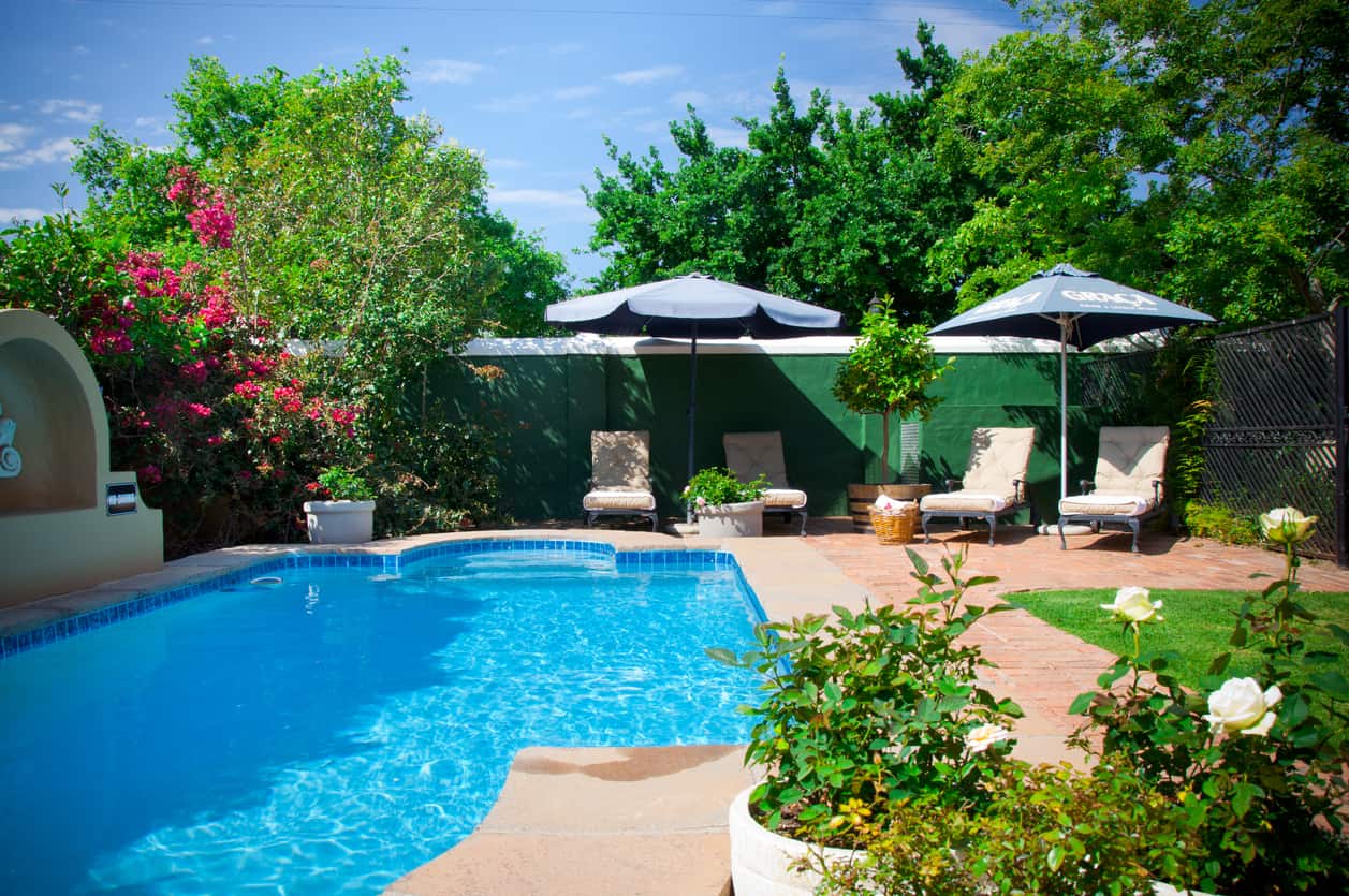 backyard pool 3